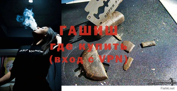 хмурый Алзамай