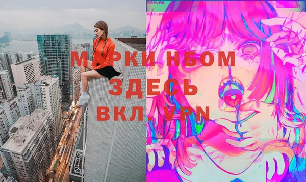 хмурый Алзамай