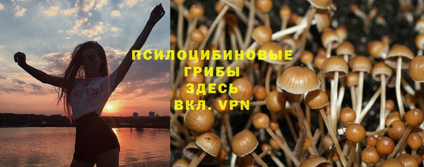 хмурый Алзамай