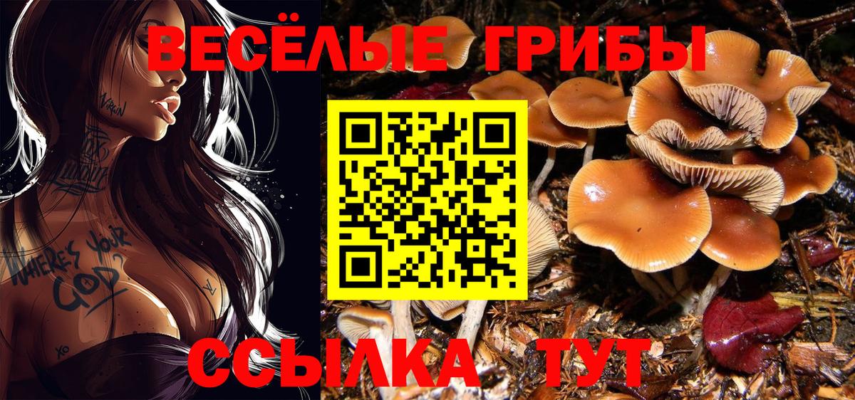 Менделеевск  Псилоцибиновые грибы GOLDEN TEACHER  Вход с VPN 